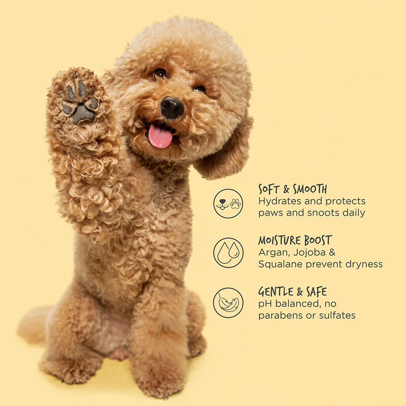 CHI Vibes For Dogs Nose and Paw Protector Balm, , large image number null